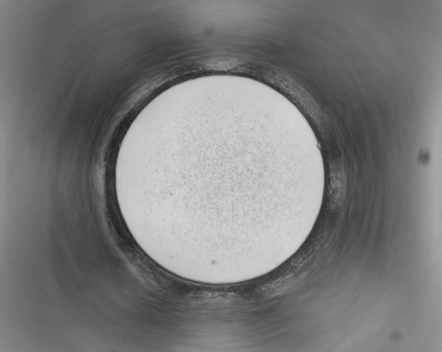 X0000116770626201001141451