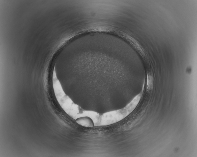 X0000116770627201001141451