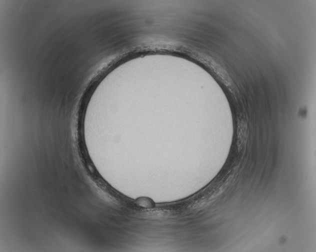 X0000116770629201001141451