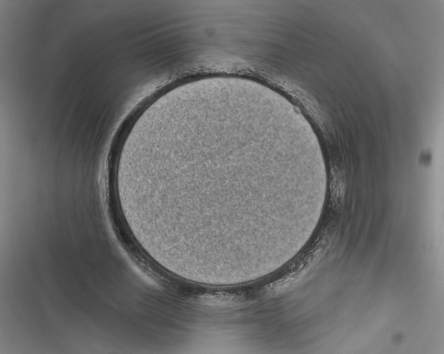 X0000116770630201001141451