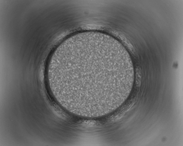 X0000116770631201001141451