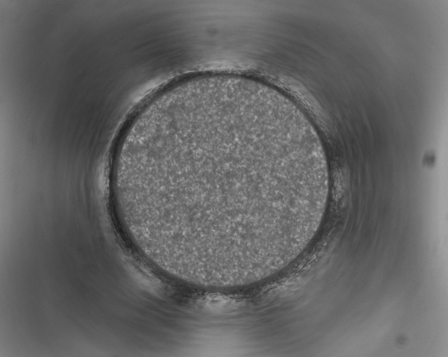 X0000116770632201001141451