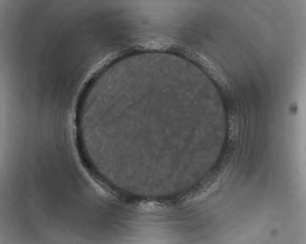 X0000116770634201001141451