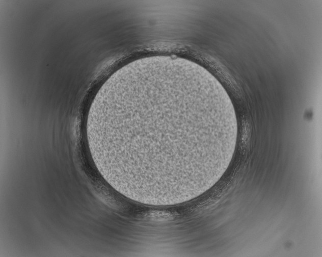 X0000116770636201001141451