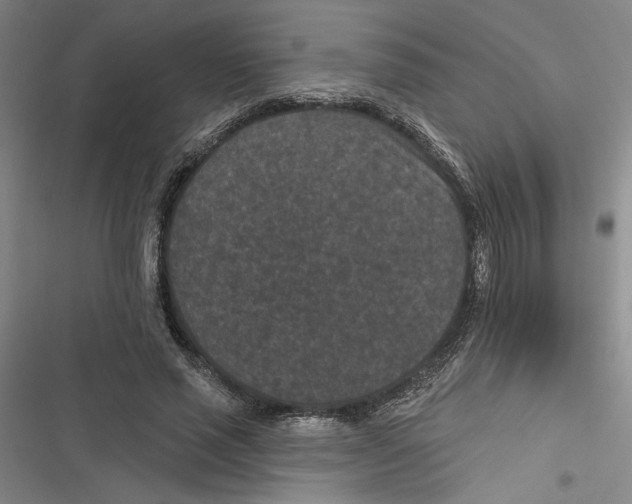 X0000116770637201001141451
