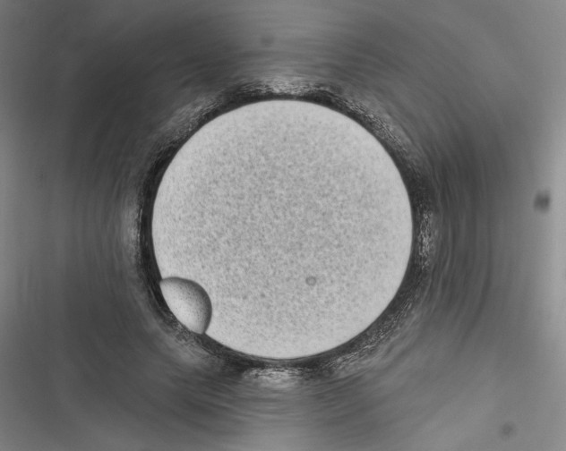 X0000116770639201001141451