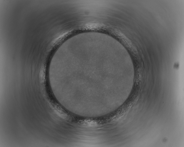 X0000116770640201001141451