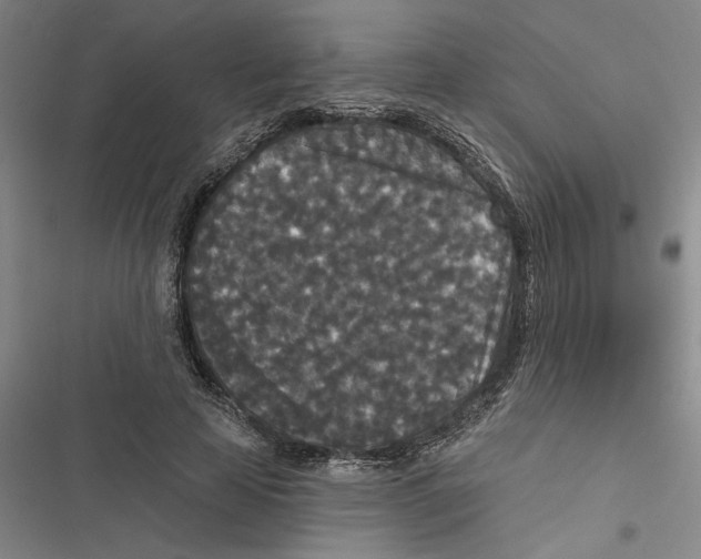 X0000116770641201001141451