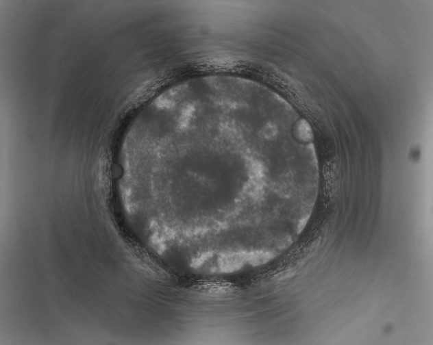 X0000116770642201001141451