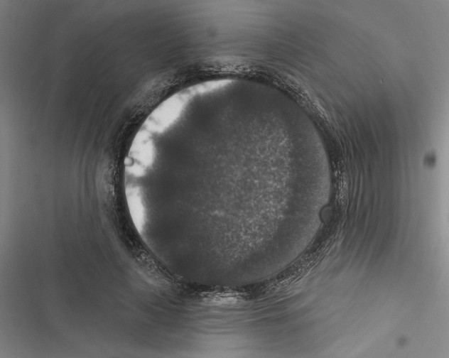 X0000116770643201001141451