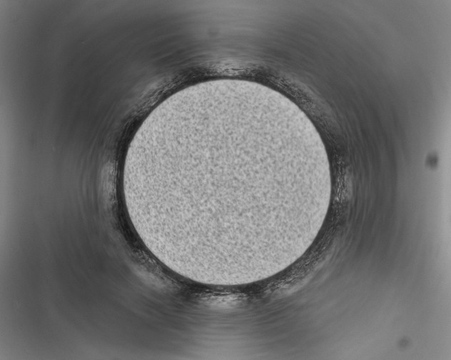 X0000116770646201001141451