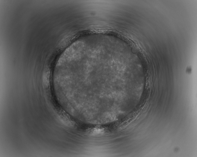 X0000116770647201001141451