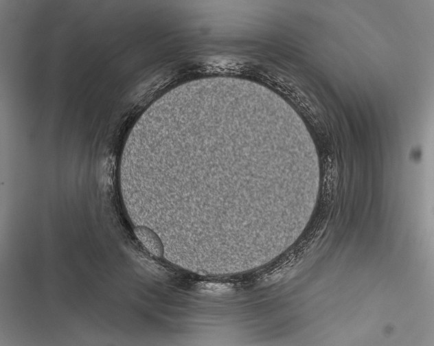 X0000116770649201001141451
