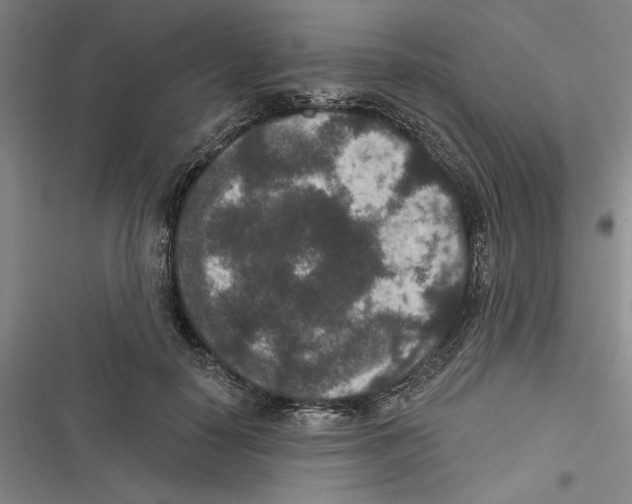 X0000116770650201001141451
