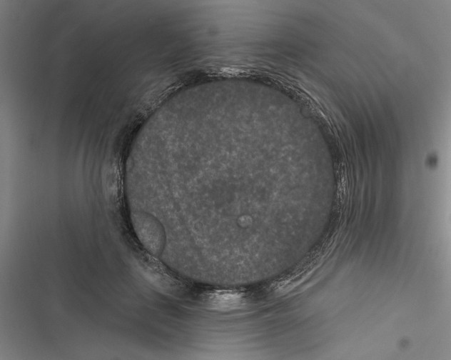 X0000116770651201001141451