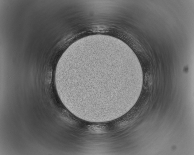 X0000116770652201001141451