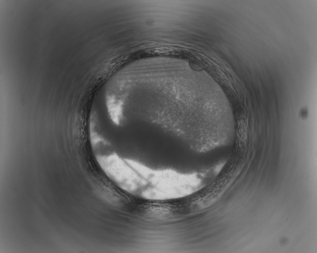 X0000116770653201001141452