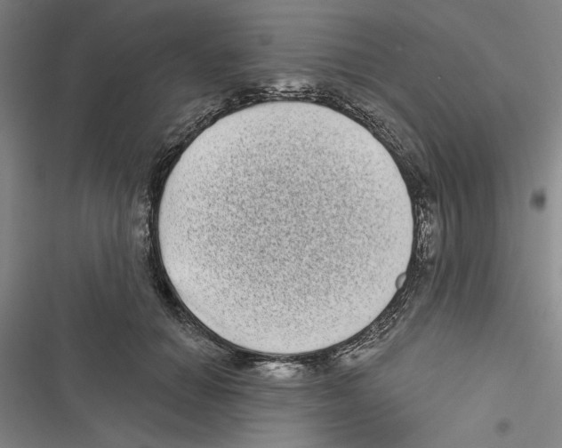 X0000116770654201001141452