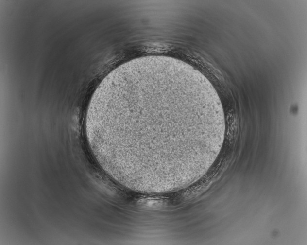 X0000116770655201001141452