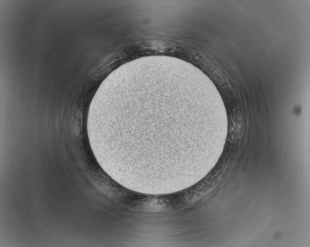 X0000116770656201001141452