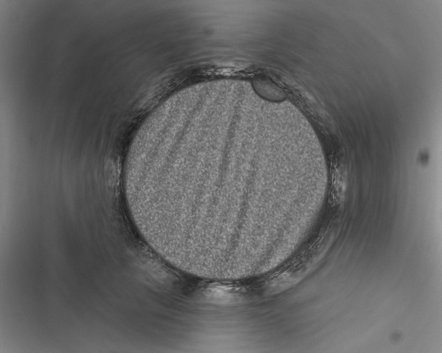 X0000116770657201001141452