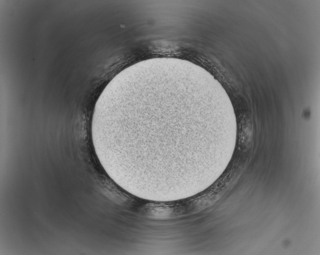 X0000116770658201001141452
