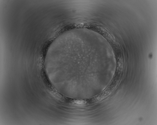 X0000116770659201001141452