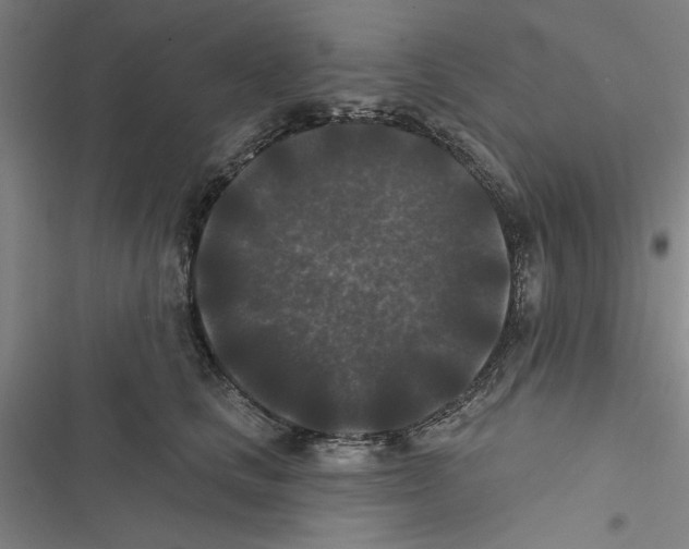X0000116770661201001141452