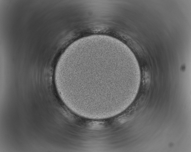 X0000116770664201001141452