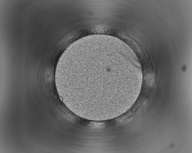 X0000116770665201001141452