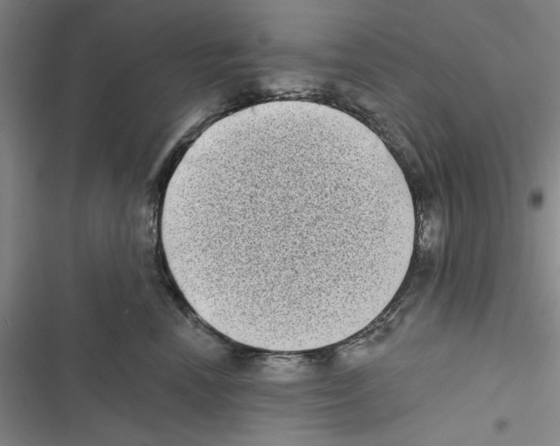 X0000116770666201001141452