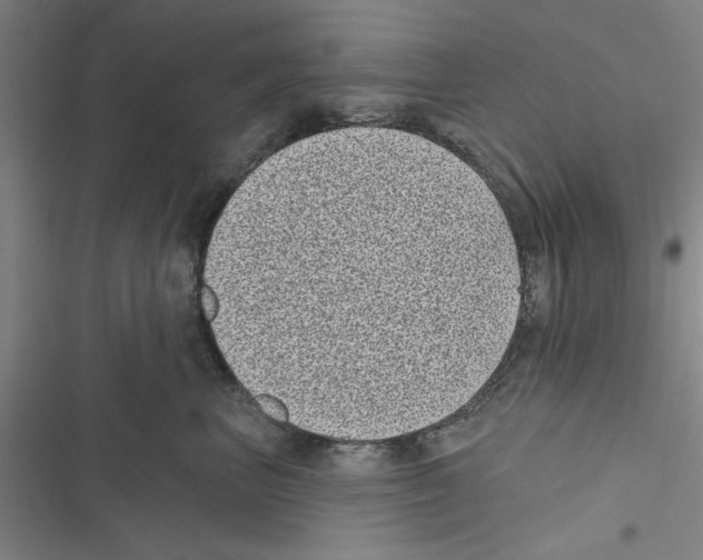 X0000116770667201001141452
