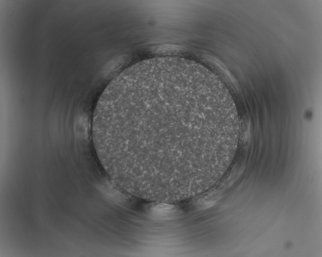 X0000116770669201001141452