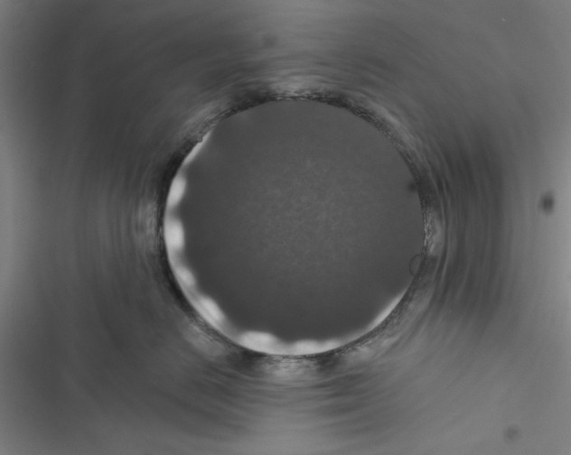 X0000116770670201001141452