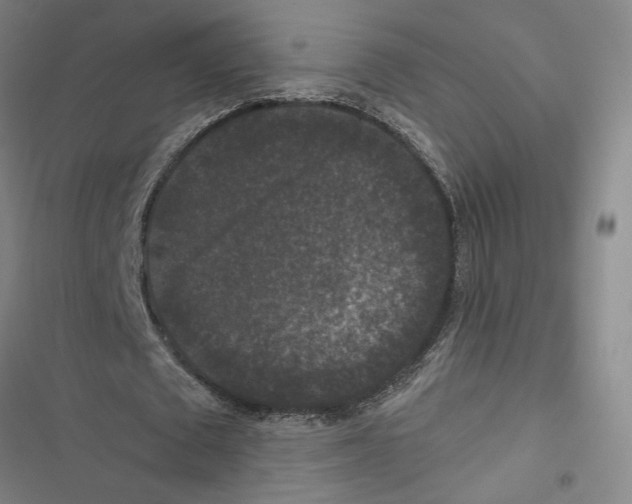 X0000116770673201001141451
