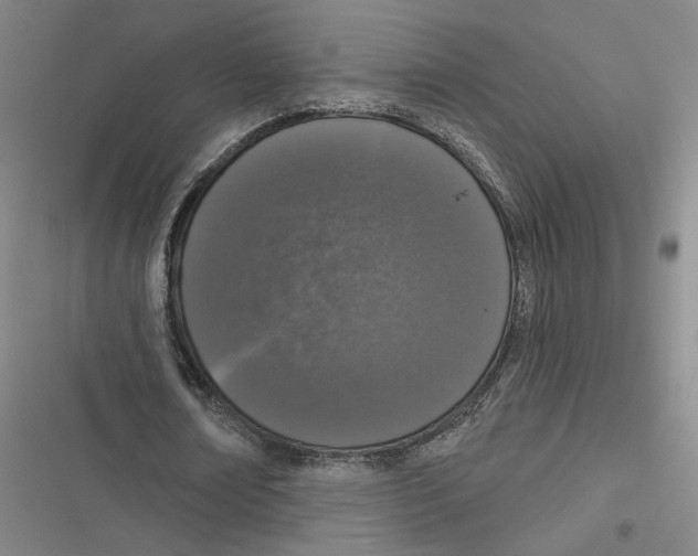 X0000116770674201001141451