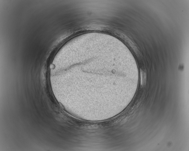 X0000116770675201001141451