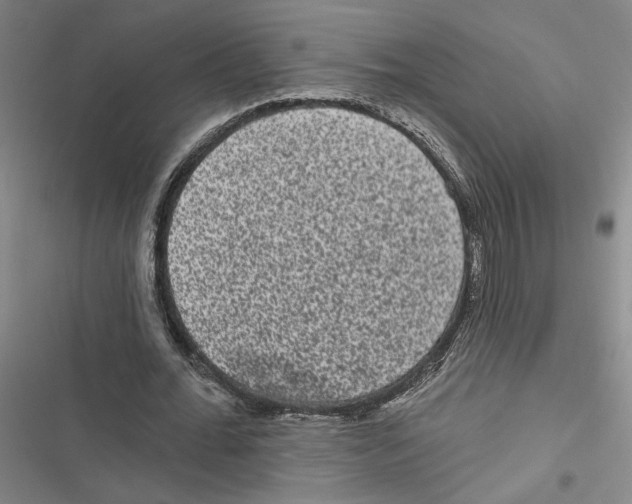 X0000116770676201001141451