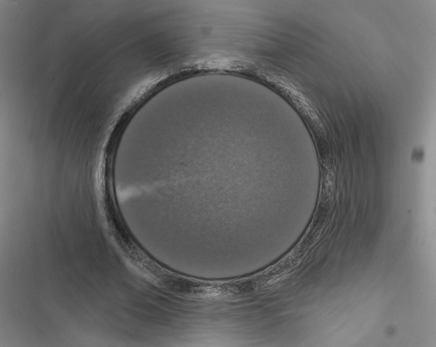 X0000116770678201001141451