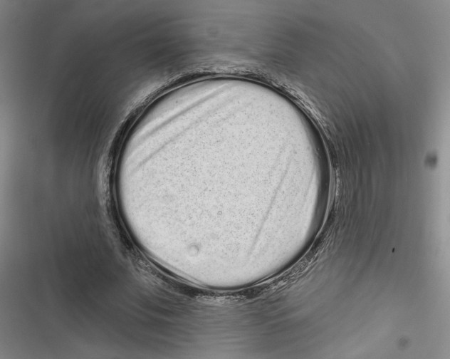 X0000116770679201001141451