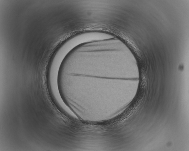 X0000116770681201001141451