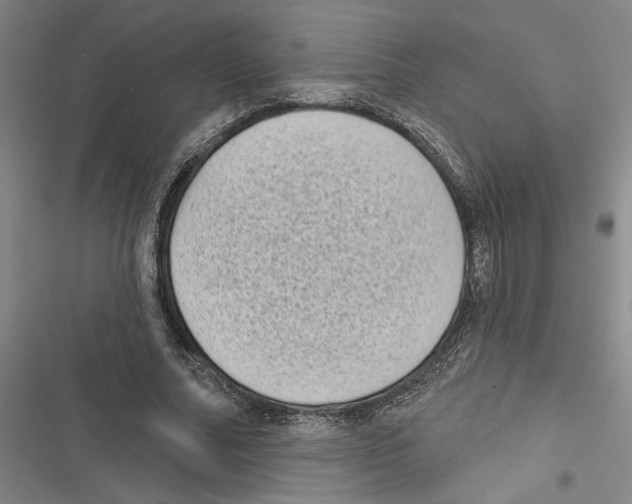 X0000116770682201001141451