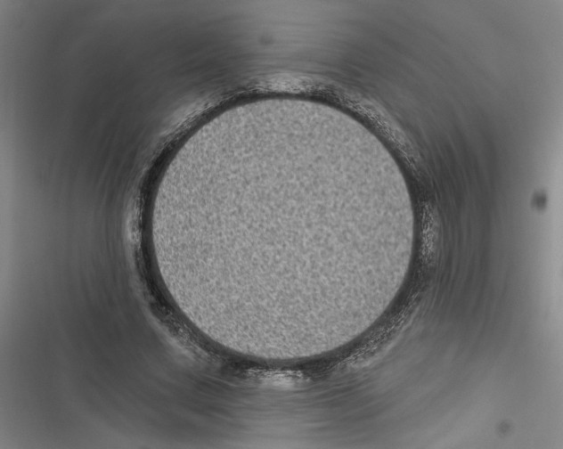 X0000116770683201001141451
