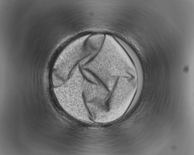 X0000116770684201001141451