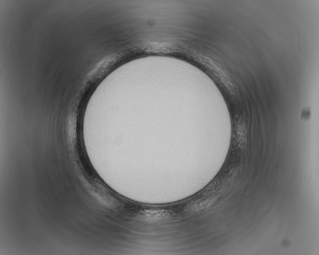 X0000116770686201001141451