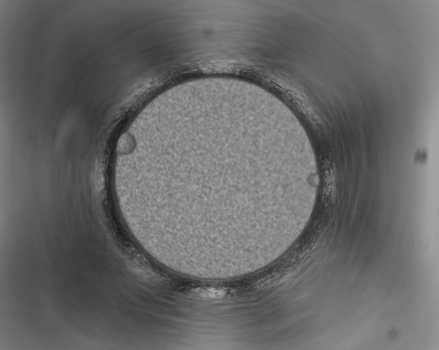 X0000116770687201001141451
