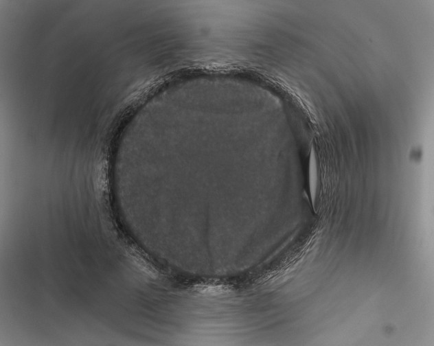 X0000116770689201001141451