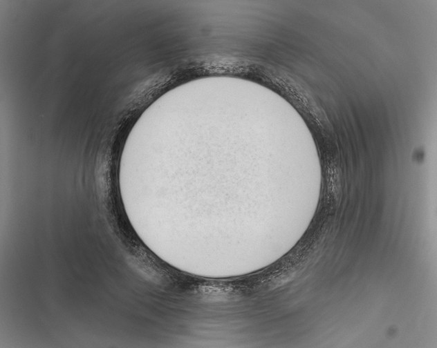 X0000116770690201001141451