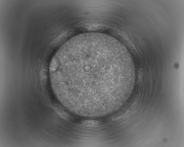 X0000116770691201001141451