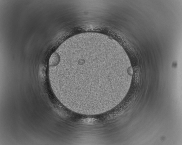 X0000116770695201001141451